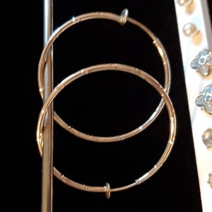 Siler hoop earings